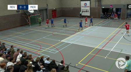 Samenvatting ADV - MER