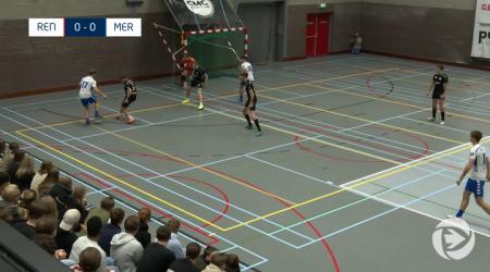 Samenvatting REN - MER